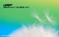 雨林木风win11典藏高效版32位v2022.02
